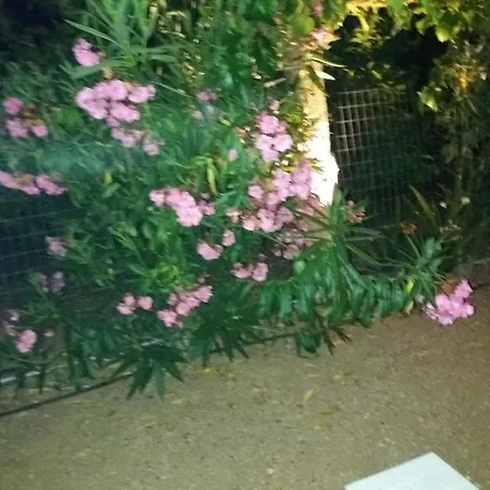 Ferienhaus Eirini House Drepano (Argolis)