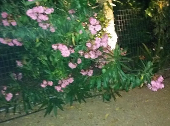 Σπίτι διακοπών Eirini House Δρέπανο